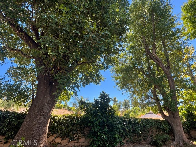 22611 Michale Street photo 34
