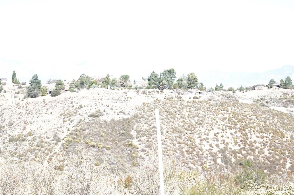 MLS #SB25011782 image #12