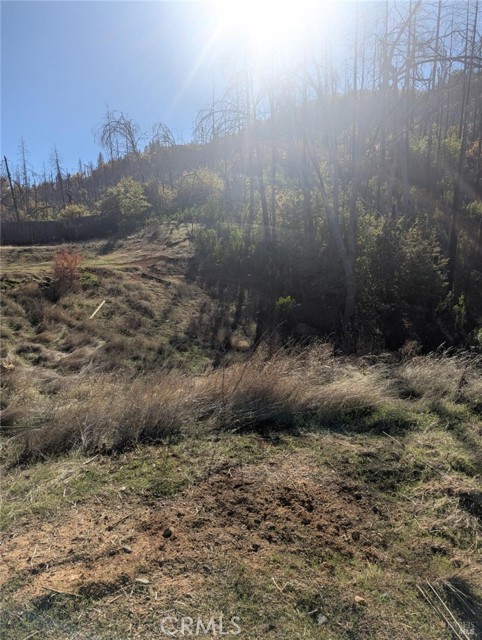 Detail Gallery Image 15 of 38 For 1833 Hunter Point Rd, Upper Lake,  CA 95485 - – Beds | – Baths