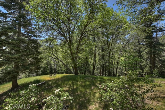 29223 Pigeon Hawk Lane, Lake Arrowhead CA: https://media.crmls.org/medias/a9a86cff-454a-42f3-a74a-db8ab929fcb3.jpg