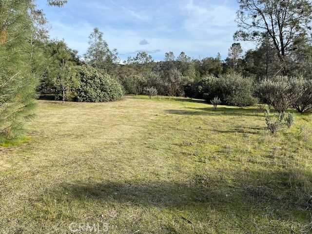 0 S Long Hollow Court, Coarsegold, CA 93614