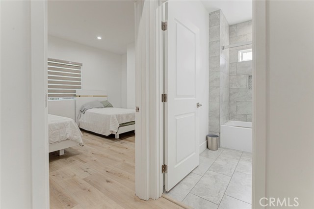 6206 Camellia photo 52