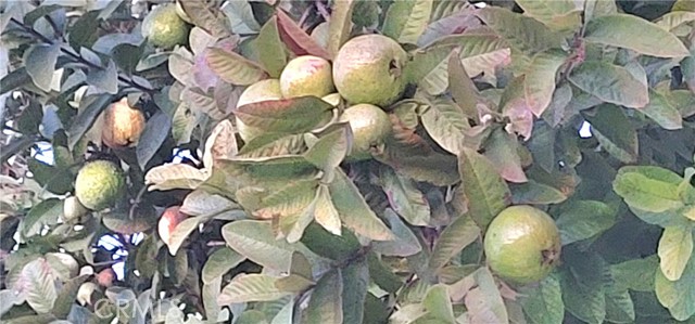 Detail Gallery Image 23 of 41 For 10181 Larson Ave, Garden Grove,  CA 92843 - 4 Beds | 4 Baths