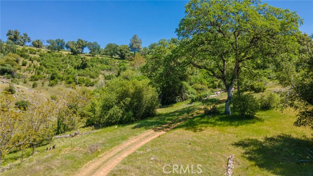 0 0 Highway 49 S, Mariposa, CA, 95338 0 0 Highway 49 S, Mariposa, CA, 95338
