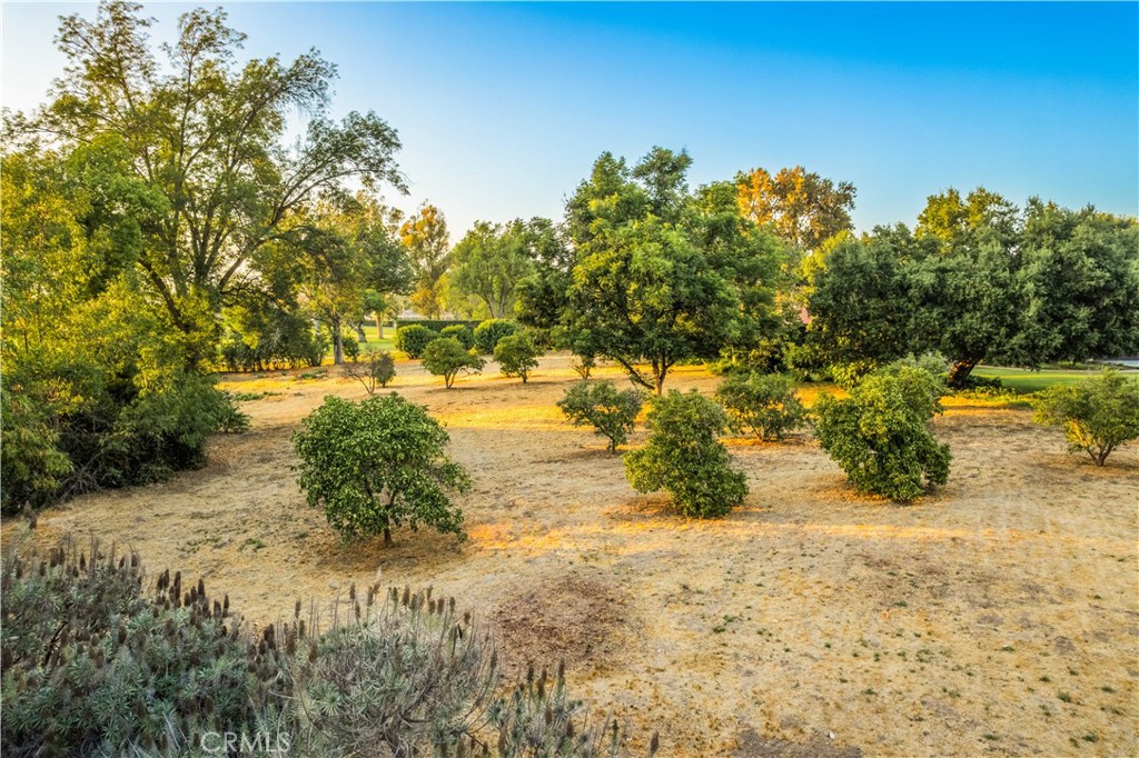 https://media.crmls.org/medias/a9bd572f-c8b4-461d-9007-fc5d5748176d.jpg?preset=X-Large