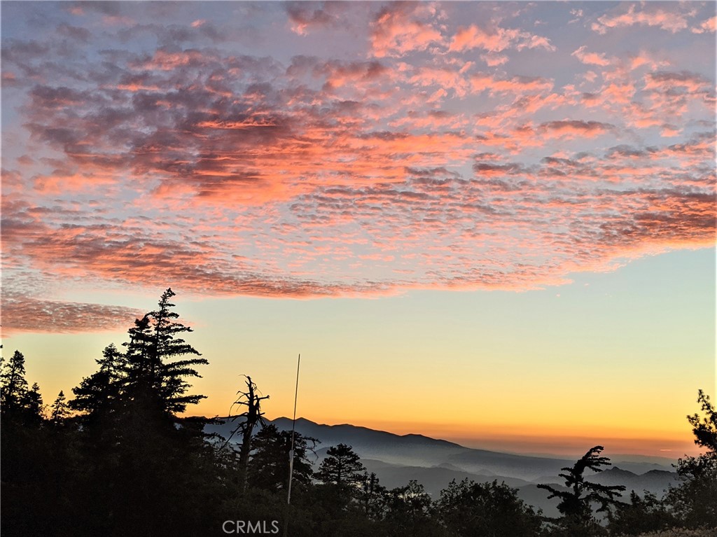 MLS #IG25230503 image #9