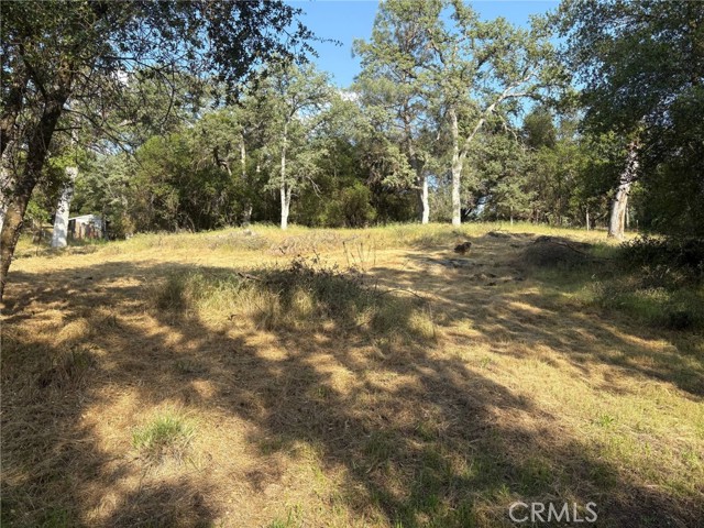 Detail Gallery Image 5 of 10 For 0 Chickasaw Rd, Coarsegold,  CA 93614 - – Beds | – Baths