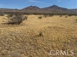 Detail Gallery Image 2 of 3 For 0 Hwy 15, Oro Grande,  CA 92368 - – Beds | – Baths