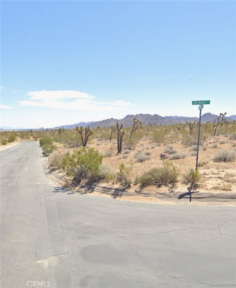 MLS #WS25024546 image #4