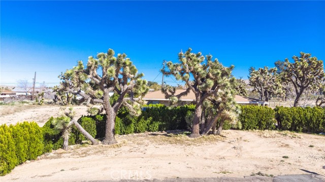 Detail Gallery Image 31 of 31 For 7411 Joshua Ln, Yucca Valley,  CA 92284 - 6 Beds | 2 Baths