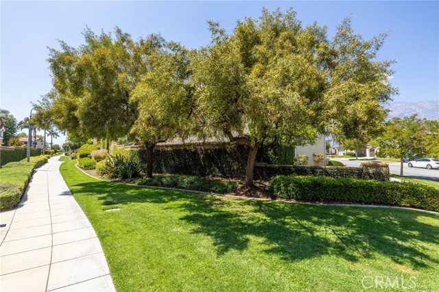 Detail Gallery Image 53 of 55 For 1526 Cole Ln, Upland,  CA 91784 - 4 Beds | 3 Baths