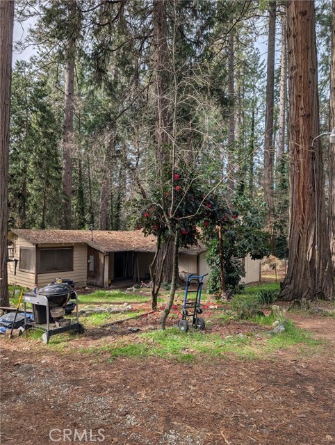 Front Image Thumbnail for CRPW26027219