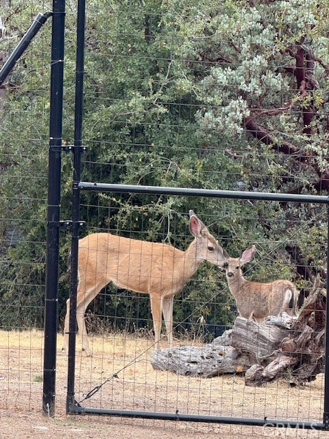 Detail Gallery Image 36 of 41 For 39468 Summit Dr, Oakhurst,  CA 93644 - 4 Beds | 3 Baths