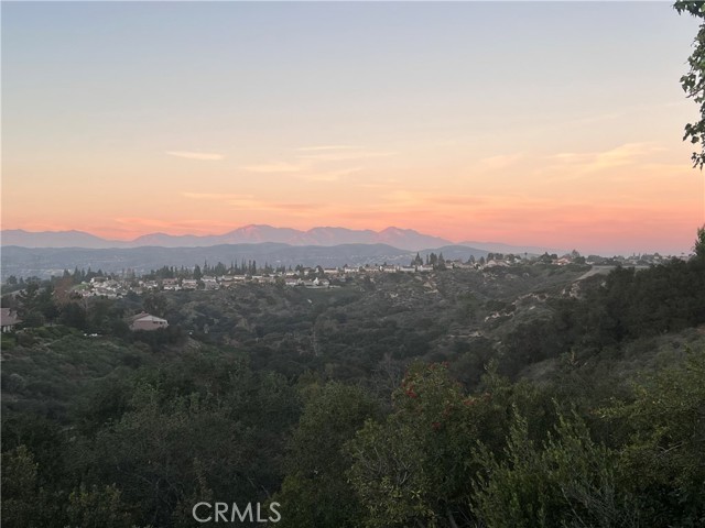 Detail Gallery Image 32 of 35 For 6631 E Princeton, Anaheim,  CA 92807 - 3 Beds | 2/1 Baths