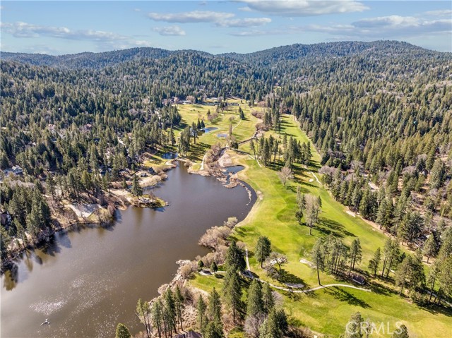 Detail Gallery Image 70 of 73 For 499 Golf Course, Lake Arrowhead,  CA 92352 - 4 Beds | 4/1 Baths