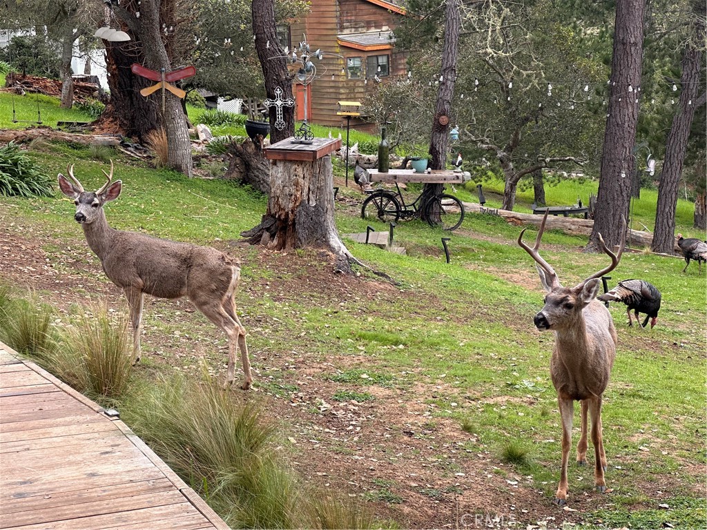 https://media.crmls.org/medias/a9fbed49-a9fe-431a-b6ac-eae713f3fe47.jpg?preset=X-Large