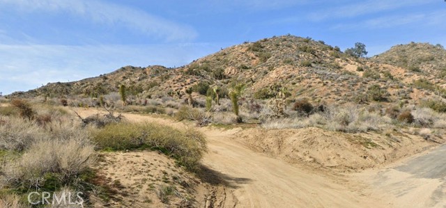 Image 0 of 3 For 1 Elk  