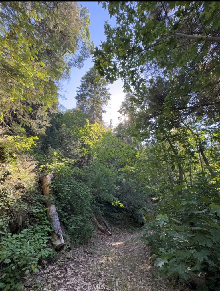 https://media.crmls.org/medias/aa031120-9833-4fd5-bf1d-7d7cb57ec9b7.jpg?preset=X-Large