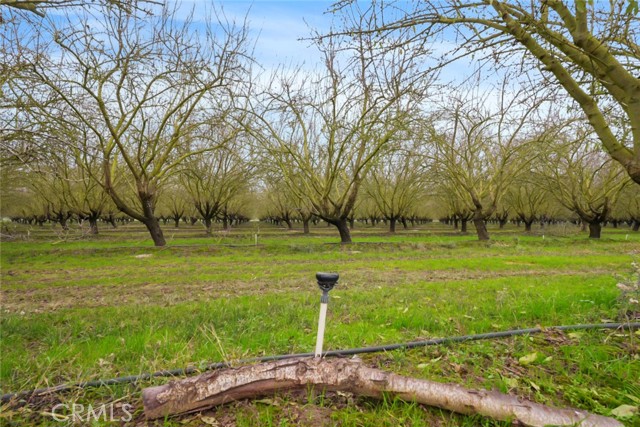 Detail Gallery Image 47 of 47 For 16221 Carrolton, Escalon,  CA 95320 - – Beds | – Baths