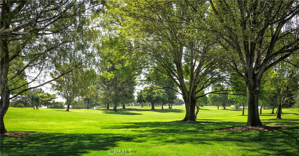 https://media.crmls.org/medias/aa0d60ad-ca3a-4b19-927f-390c514590fe.jpg?preset=X-Large