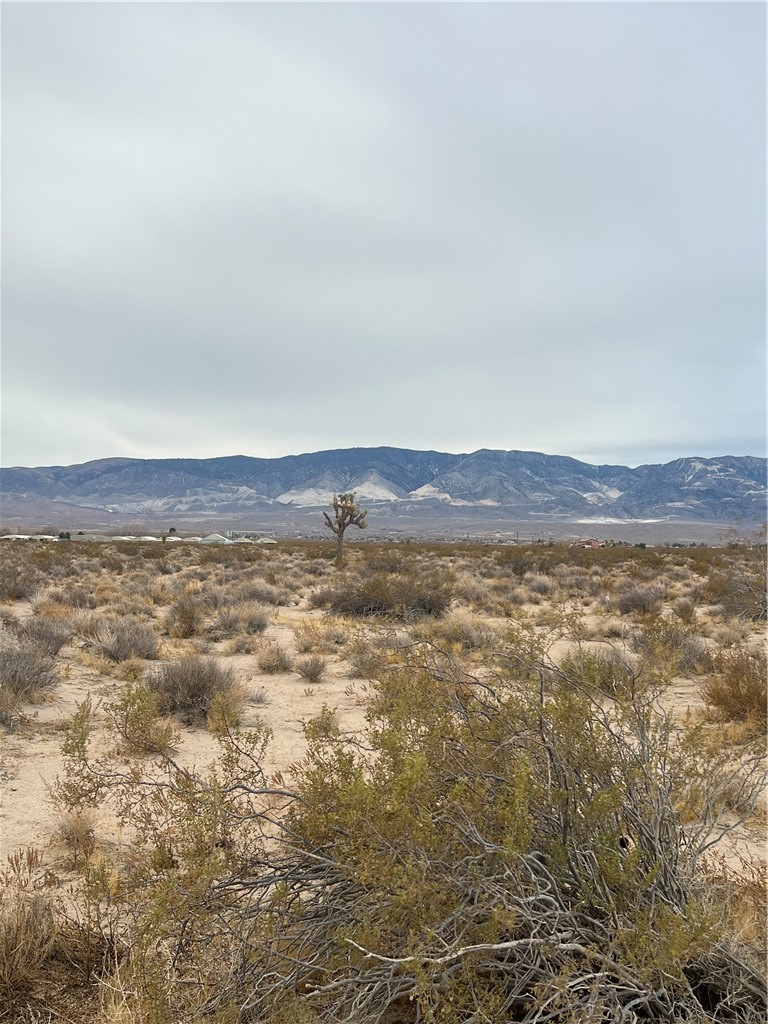 Detail Gallery Image 4 of 4 For 1 Rodeo Rd, Lucerne Valley,  CA 92356 - – Beds | – Baths