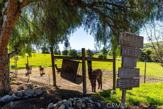 Detail Gallery Image 67 of 75 For 76945 Indian Valley, San Miguel,  CA 93451 - 7 Beds | 5/1 Baths