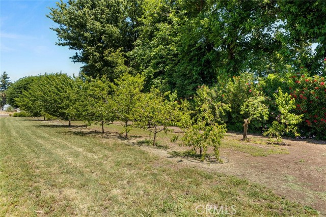Detail Gallery Image 46 of 59 For 5375 Nord Hwy, Chico,  CA 95973 - 3 Beds | 2 Baths