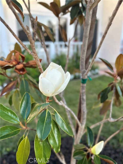 23772 Singapore Street, Mission Viejo CA: https://media.crmls.org/medias/aa309305-fcd1-461c-b484-4d6f60f1da65.jpg