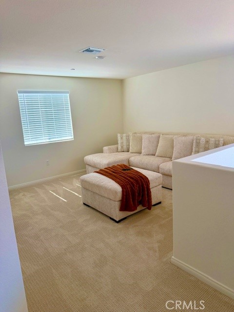 Detail Gallery Image 9 of 21 For 28316 Golden Spring, Nuevo,  CA 92567 - 4 Beds | 3 Baths