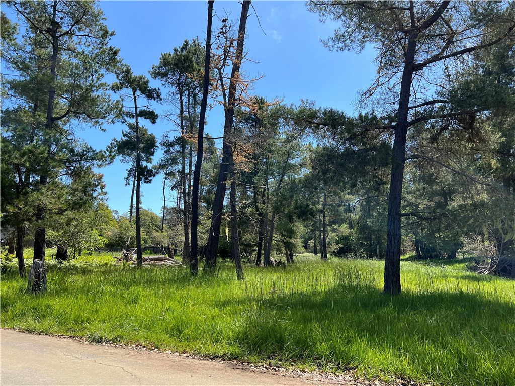 MLS #SC25087439 image #7