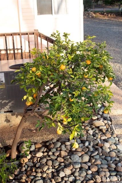 Detail Gallery Image 60 of 60 For 87 Valley View Dr, Paradise,  CA 95969 - 5 Beds | 3 Baths