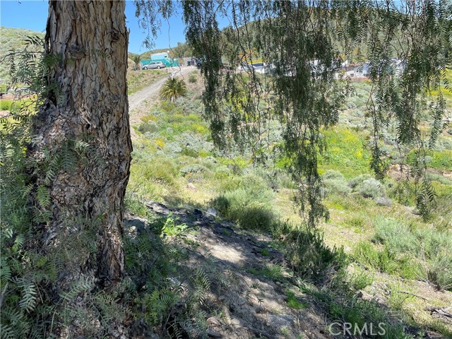 0 LA BERTHA Lane, Menifee, California 92587, ,Land,For Sale,0 LA BERTHA Lane,CROC23054223