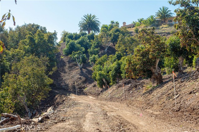 Detail Gallery Image 33 of 34 For 8 via Horca, Temecula,  CA 92590 - – Beds | – Baths