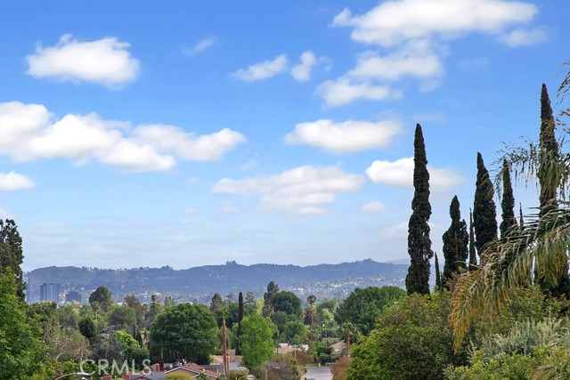 8479 Moorcraft Avenue, West Hills CA: https://media.crmls.org/medias/aa4b88d4-caeb-41a0-bfbf-521dcb64d26b.jpg