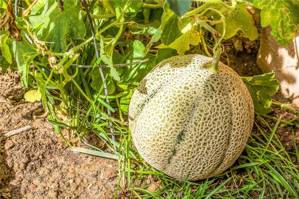 https://media.crmls.org/medias/aa4d1510-306f-4da1-8121-bd89f10d647b.jpg?preset=X-Large