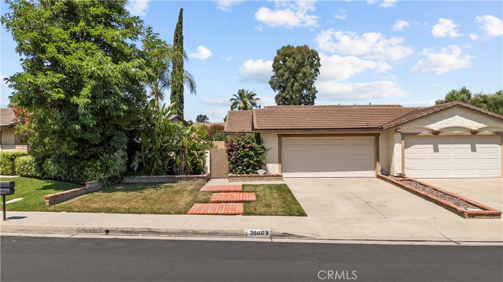 25603 Alicante Drive