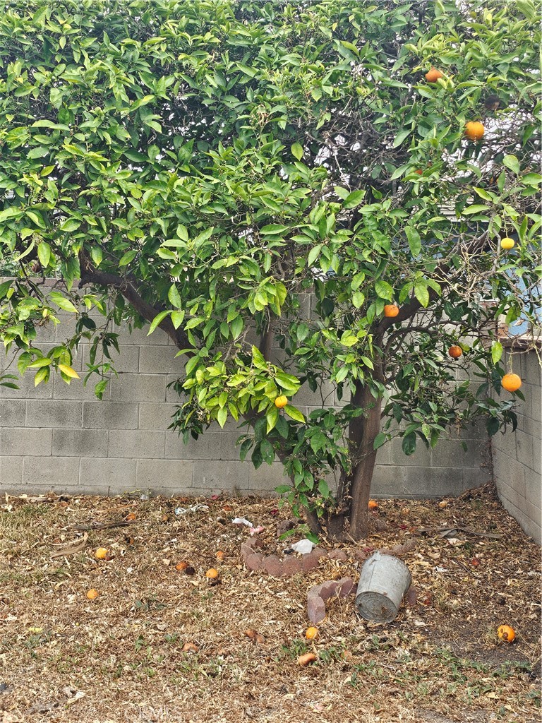 https://media.crmls.org/medias/aa539e78-bc93-4118-a410-82ddf016bf90.jpg?preset=X-Large