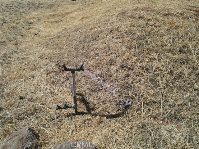 MLS #SN25263721 image #5