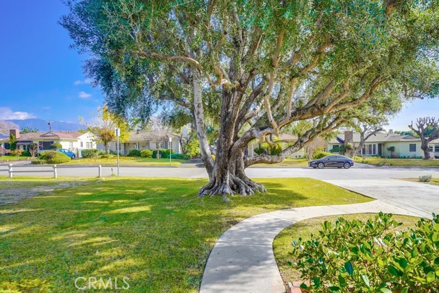 Detail Gallery Image 14 of 74 For 601 Santa Rosa Rd, Arcadia,  CA 91007 - 4 Beds | 2 Baths