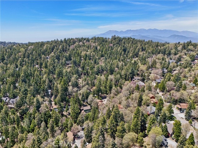 Detail Gallery Image 59 of 59 For 385 Iris Dr, Twin Peaks,  CA 92391 - 4 Beds | 3 Baths