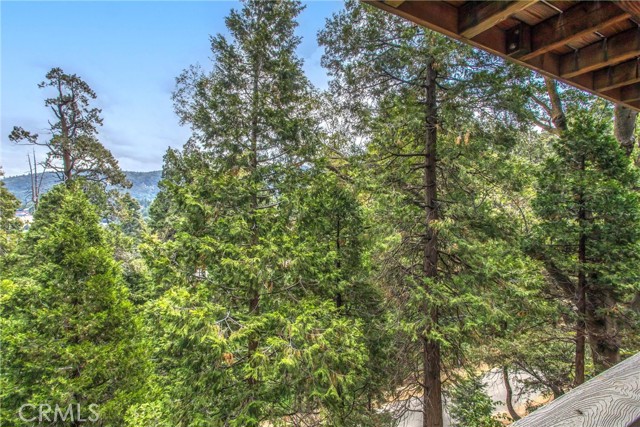 Detail Gallery Image 30 of 53 For 963 Jungfrau Dr, Crestline,  CA 92325 - 3 Beds | 3/1 Baths