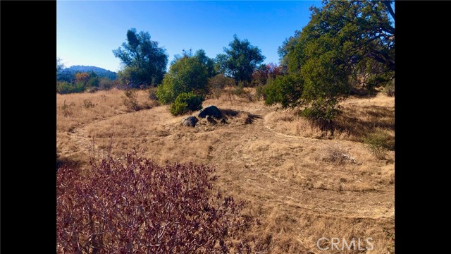 10 Old Oak Lane, Mariposa CA: https://media.crmls.org/medias/aa60ecba-aff3-485d-bf20-d1a53250f10a.jpg