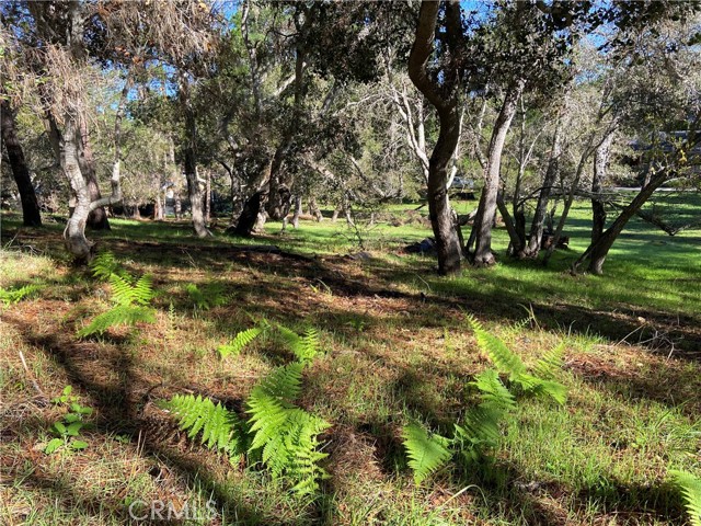 0 Kenneth, Cambria, California 93428, ,Land,For Sale,0 Kenneth,CRSC24012358