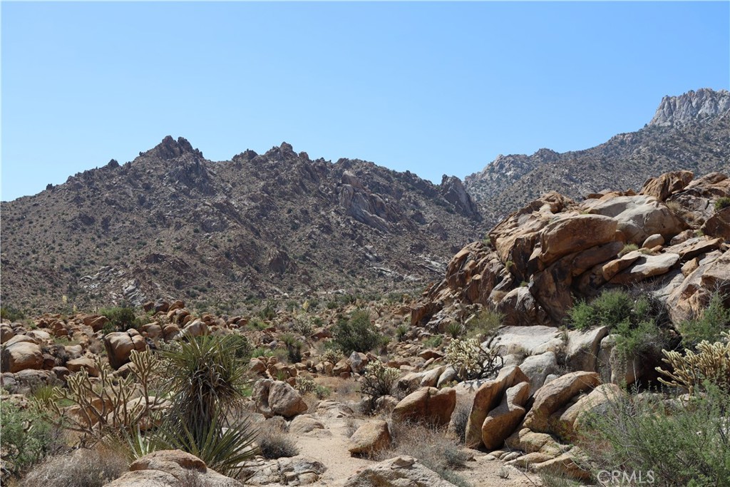 MLS #JT25234703 image #5