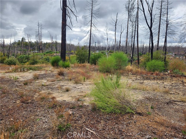 Detail Gallery Image 3 of 7 For 1103 Bald Rock Rd, Berry Creek,  CA 95916 - – Beds | – Baths