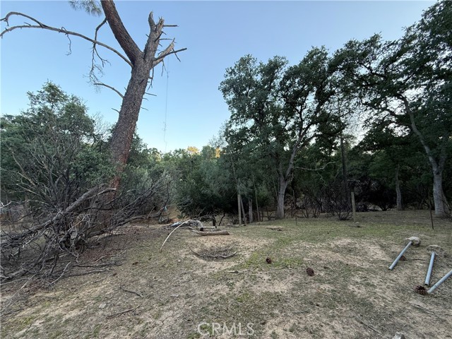 Detail Gallery Image 12 of 12 For 16812 Stagecoach Rd, Corning,  CA 96021 - – Beds | – Baths