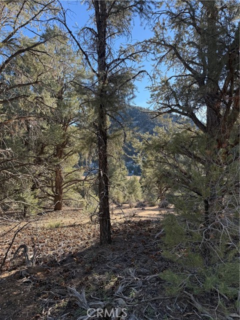 Detail Gallery Image 8 of 10 For 0 310-190-028 Sacatar Ranch Rd, –,  CA 93527 - – Beds | – Baths