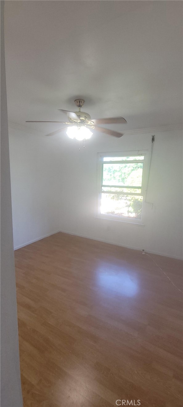 MLS #PW25246261 image #13