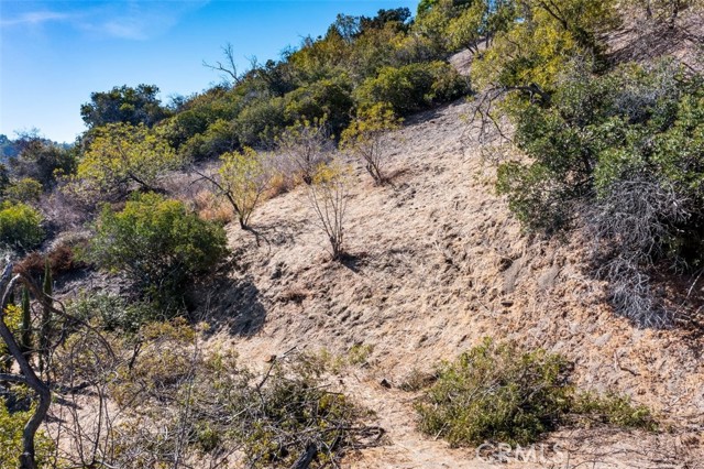 13406 Newcomb Drive photo 7