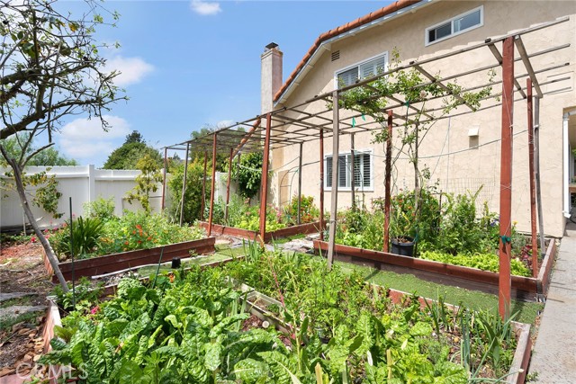 Vegetable Garden
